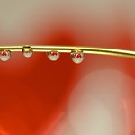 Love droplets
