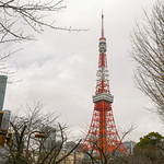 TLH_2423 - Tokyo Tower