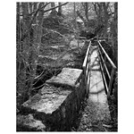 Muker Footbridge - 5x4 - FP4+ FX55