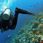 what to do in Egypt?