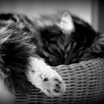 _rainy day = rest day