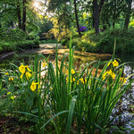 unerwartet und wundersch&ouml;n - unexpected and beautiful