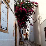 Griechenland, Greece - Insel Rhodos, Lindos, in den romantischen Gassen der wei&szlig;en Stadt, 23676