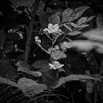 Break the rules - technical perfection