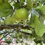 Charterhouse, Coventry