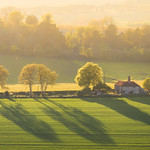 Light lingers where shadows fall