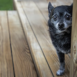 His softer side 33/52