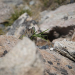 Making hay while the sun shines