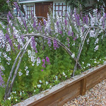 White and Purple Flower Bed - Magnolia Seed & Supply - Waco, Texas