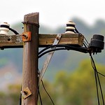 Redundant technology