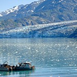 Glacier Bay Fishing