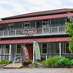 The only rising star.