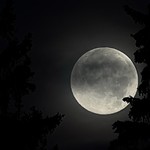 The moon made me do it!