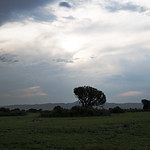 Storm Warning NKZ_5783