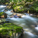 Lehigh Gorge State Park