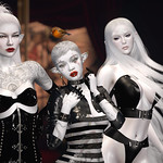 The Beauty of it All