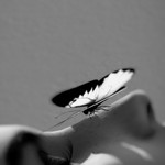 Light enough to land - Exhibit at Artsville today