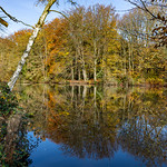 Winter, spring, summer and...