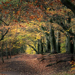 Guardians Of The Hills