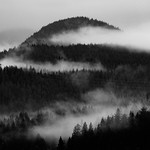 Good Morning, Belvedere