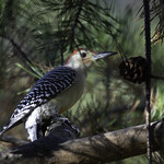 Lookin&rsquo; back atcha