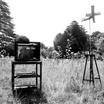 Raveningham Sculpture Trail Intervention 2025.