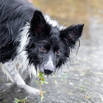 48/52 ... still pulling stuff out of the water ...