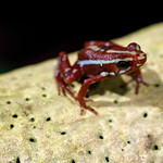 Ambience, Pt. 2 - _TNY_1580