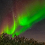 Les cortines de llum / Light curtains