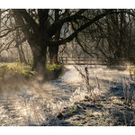 The River Dove in Beresford Dale