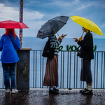 Rojo, negro y amarillo / Red, black and yellow