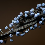 It's not me, Its you!