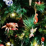 359/365 - Merry Christmas