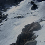 My Way is made of Tiny Steps (because I am scared). (Read below).