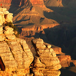 New Kids on the Rock