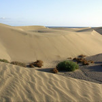 Gran Canaria , Dunas de Maspalomas, Tal zwischen den D&uuml;nen , 2-27/1573