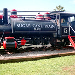 H724.Sugar Cane Train
