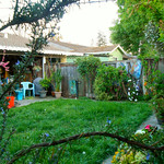 ...and In To The Evening (5)