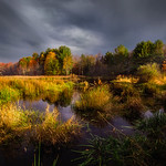 Morning Sun [Explored 29-Oct 2015]