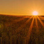 Remember when it was warm?