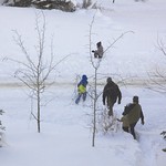 fun for the whole family