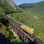 Where's the foliage?