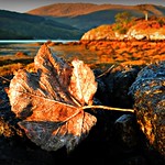 ardnurmurchan 1 sep12 1457