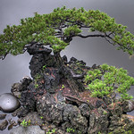 Japan through photomatix #8