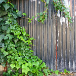 Changes over time III