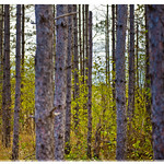 DECEMBER 2016 NM1_2308_017263-22