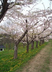 May 06 Dwelling In The Dream