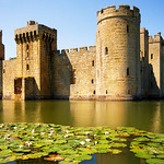 Bodiam Castle & Lillies
