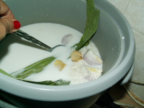 Resipi Nasi Lemak Best recipes, foods and travel