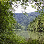 A Place to Dream DSK2401